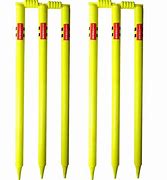 Image result for Neon Cricket Stumps