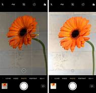 Image result for iPhone 8 Plus Camera Capabilities