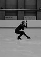 Image result for Figure Skates Product