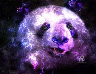 Image result for Galaxy Panda Wolf