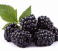 Image result for BlackBerry Berry