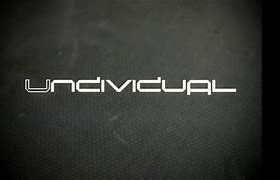 Image result for undividual
