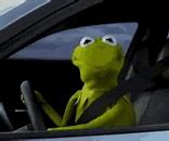 Image result for Angry Kermit Meme 1800X1800