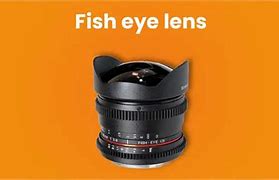 Image result for Fish Eye Lens Anatomy
