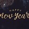 Image result for Happy New Year Meme Cartoon