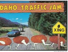 Image result for Idaho Jokes