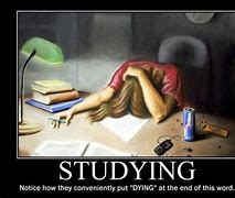 Image result for Just Keep Studying Meme
