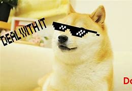 Image result for MLG Doge Meme