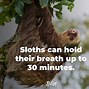 Image result for Weird Nature Facts
