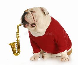 Image result for Dogs Playing Instruments