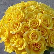 Image result for Beautiful Yellow Roses with Pearls