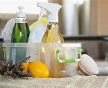 Image result for Cleaning Supplies to Clean House