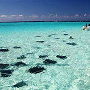 Image result for islas caiman