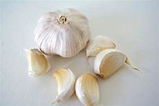 wenke pot idees to market to market with san diego foodstuff garlic wenke pot idees to market to market with san diego foodstuff garlic