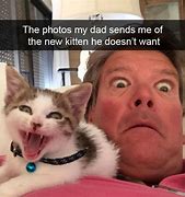 Image result for Our Cat Meme
