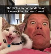 Image result for Funny Memes About Cats