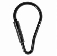 Image result for Carabiners for Lifting