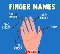 Image result for Fingers On Keyboard Hand