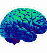 Image result for Brain Meme Sticker