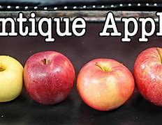 Image result for Unmodified Apple's