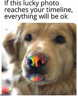 Image result for Everything Will Be OK Meme