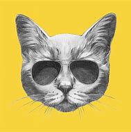 Image result for Cat with Sunglasses Drawing