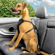 Image result for Dog Car Harness