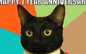 Image result for Happy Work Anniversary Cat