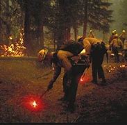 Image result for Fusee Wildland Fire