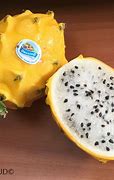 Image result for Yellow Dragon Fruit
