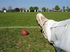 Image result for Cricket