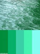 Image result for Sea Green Colour Paint