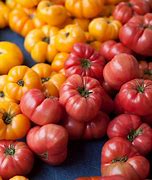 Image result for Pink Tomatoes Varieties