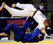 Image result for Judo Wrestling