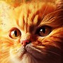 Image result for Cat Beeing Dumb