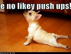 Image result for Push-Up Funny