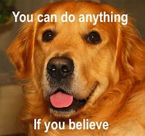 Image result for You Did It Dog Meme