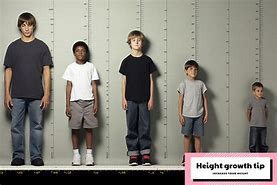 Image result for Average Height in America