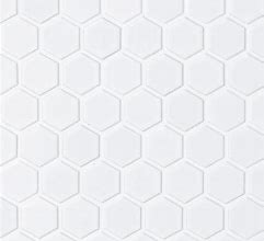 Image result for White 1X1 Image