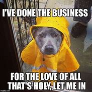 Image result for Dog in Rain Memes