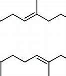 Image result for CoQ10 Structure