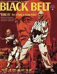 Image result for Martial Arts Poster
