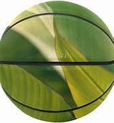 Image result for Basketball Ball with Side Leaves