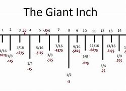 Image result for Show Me 5 8 Inch On a Ruler