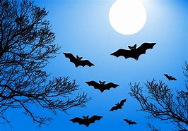 Image result for Backround with Bats and Gray with Moon