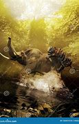 Image result for Forest with Elephant Tiger