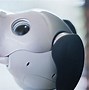 Image result for Aibo Facts