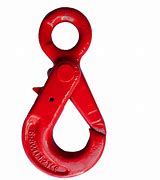 Image result for Safety Lanyard Hooks