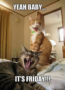 Image result for Almost Friday Cat