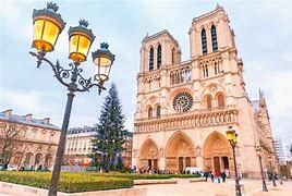 Image result for Notre Dame Cathedral Christmas